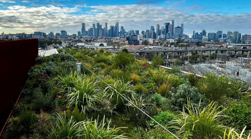 A biodiverse green roof was built on top of a seven-story commercial office space in Kensington, Victoria